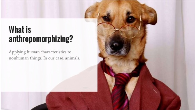 Should we anthropomorphize our animals?